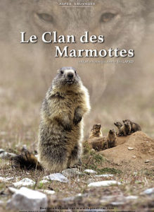 Il clan delle marmotte